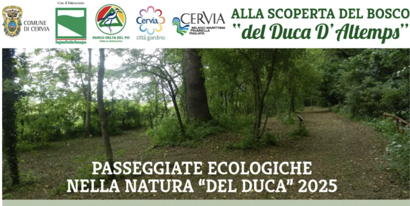 Cervia città giardino: Passeggiate nel Bosco del Duca d’Altemps